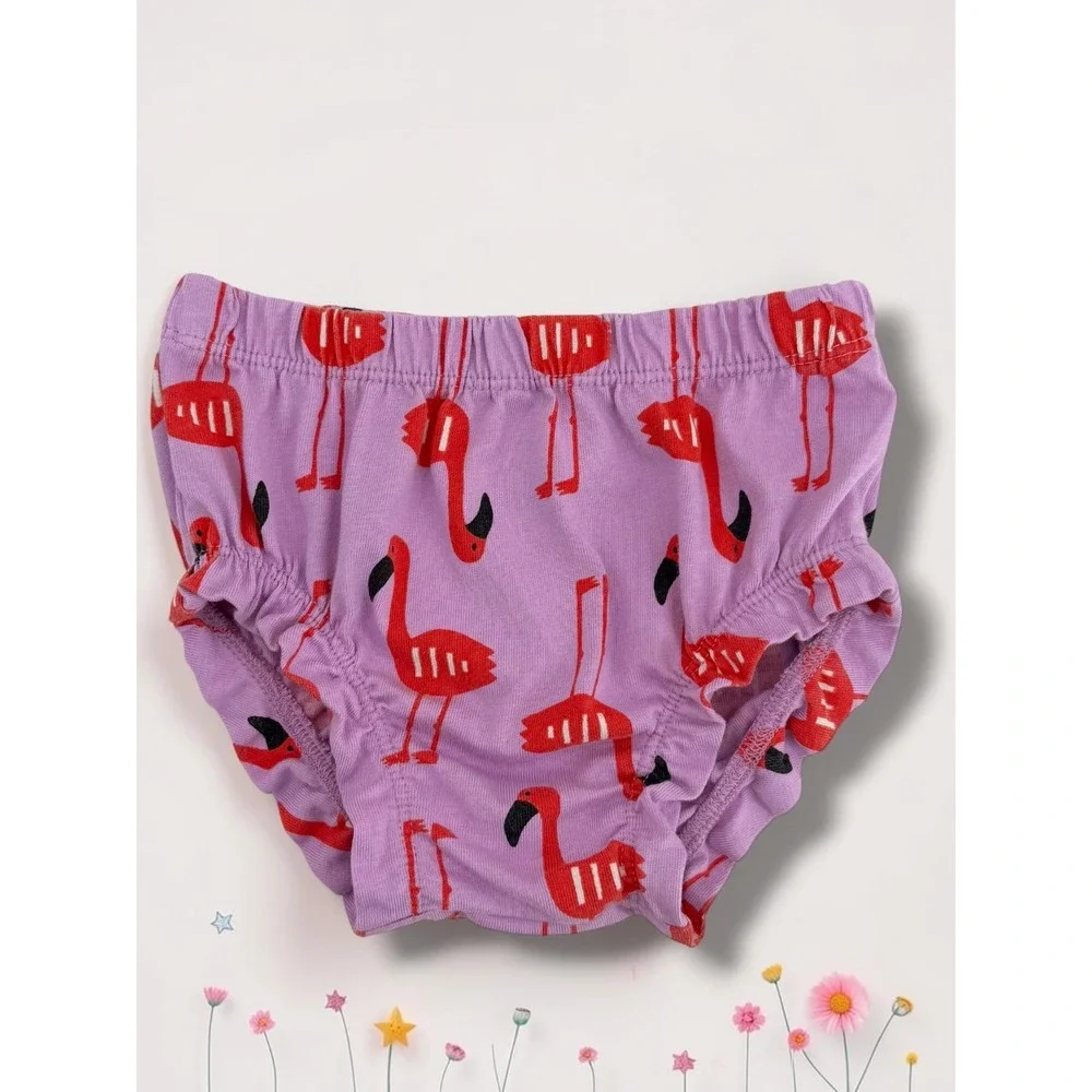 Hanna Andersson Flamingo Print Cotton Sleeveless Dress & Bloomer Set 2T